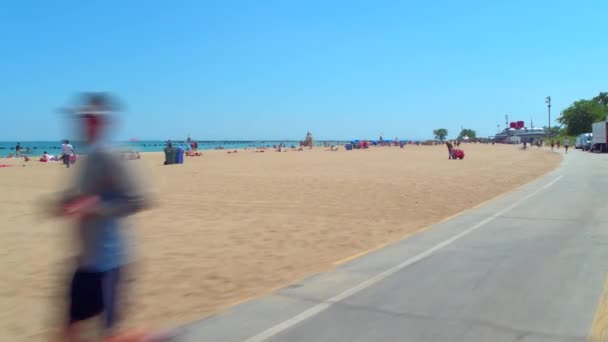 Summer Chicago Beach stock wideo — Wideo stockowe