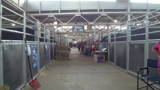 Iowa State Fair — Stock Video