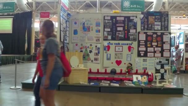 Iowa State Fair — стокове відео