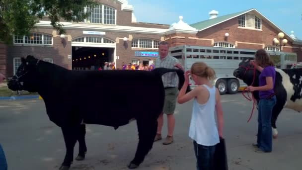 Iowa State Fair — стокове відео