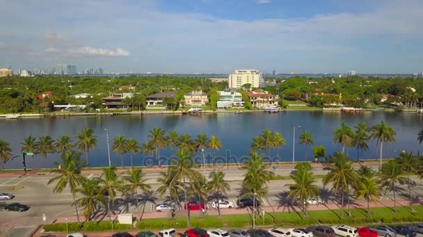 Miami Beach Collins palmy — Wideo stockowe