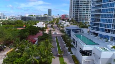 Miami Beach condominiums ve palmiye ağaçları
