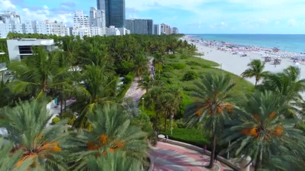 Miami Beach FL, Usa — Stockvideo