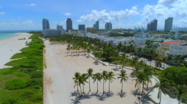  Ocean Drive Lummus Park palmiye ağaçlarının