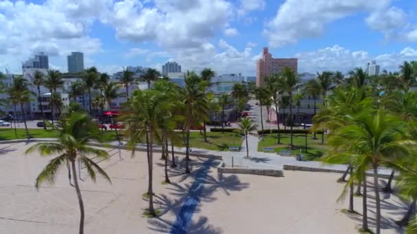 Palmeras de Miami Beach y redes de voleibol — Vídeo de stock