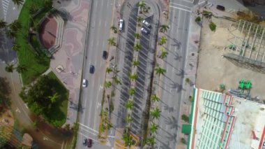 enkaz ve düşmüş palmiye ağaçları Downtown Miami kasırga Irma