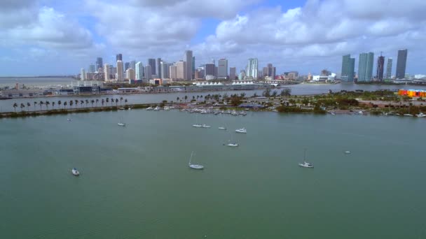 Downtown Miami Watson Island — Video Stock