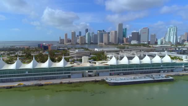 Porto Miami e Downtown — Vídeo de Stock