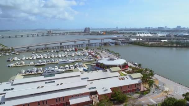 Marina Bayside Miami — Vídeo de Stock