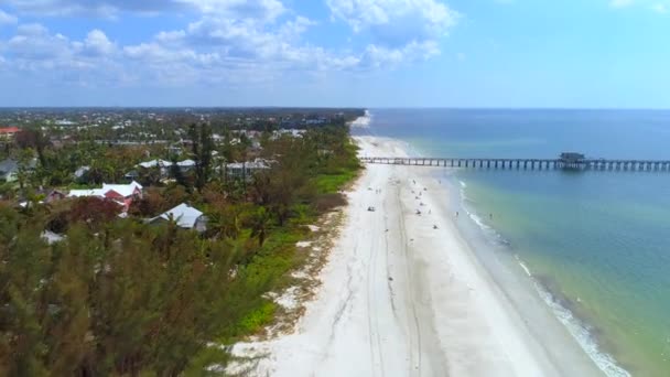 Vidéo aérienne chassant les pélicans sur la plage — Video