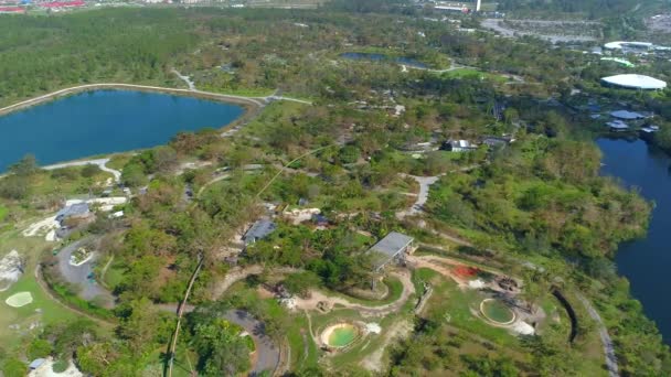 Zoo Miami po huraganie Irma — Wideo stockowe