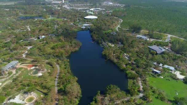 Vytáhněte zastřelených Zoo Miami — Stock video