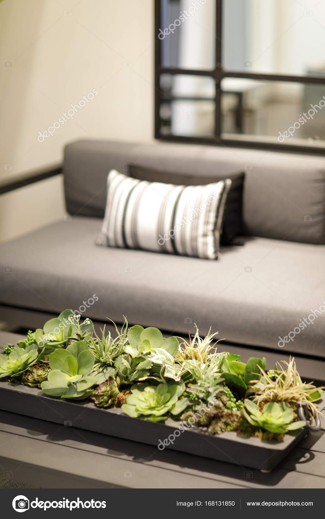 Interieur woonkamer kussens en tabel plant — Stockfoto © felixtm ... Interieur woonkamer kussens en tabel plant — Stockfoto © felixtm ...
