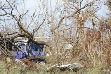 Florida Keys bir mobil ev ağaçlar düştü