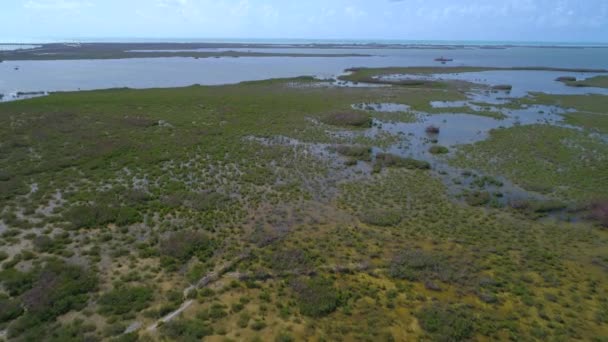 Florida Keys natuur landschap na orkaan Irma — Stockvideo