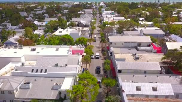 Duval Street Key West Fl — Stockvideo