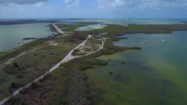 Florida Keys doğa manzara yeşil