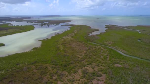 Florida Keys preserva la naturaleza después del huracán Irma — Vídeos de Stock