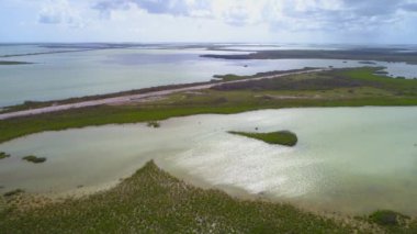Peluş manzara Florida Keys koru