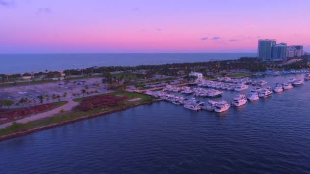 Haulover Marina Miami Dade twilight dusk — Stock Video