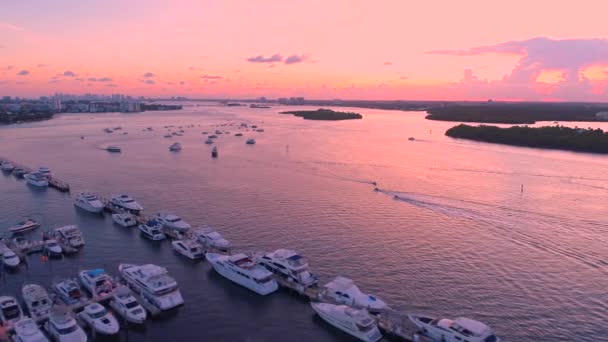 Boats in Miami at sunset — Stock Video