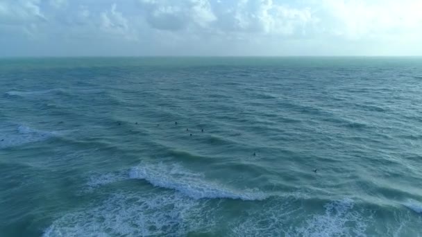 空中のマイアミ ビーチ サーファー — ストック動画