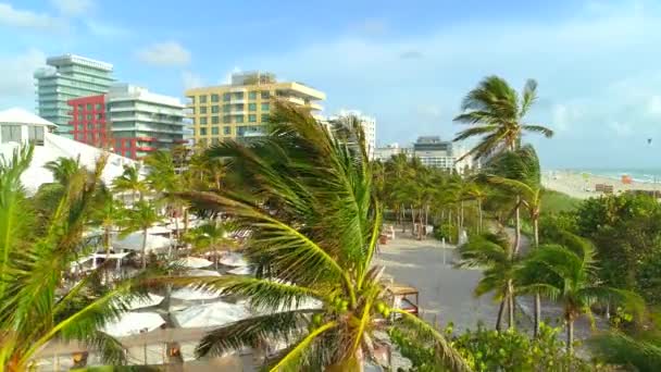 Nikki Beach Miami FLorida — Stock Video