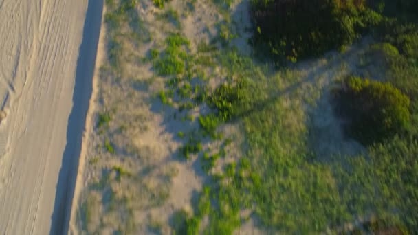 Rivelare spiaggia haulover — Video Stock