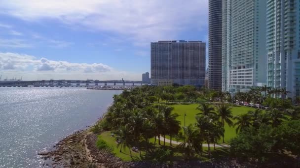 Низкое воздушное видео Margaret Pace Park Miami nature — стоковое видео