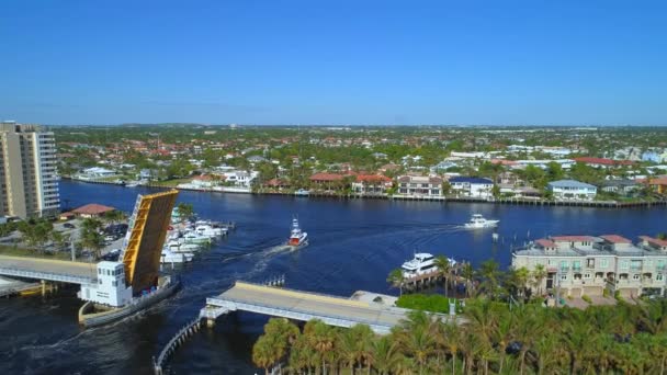 Luchtfoto van Hillsboro vuurtoren — Stockvideo