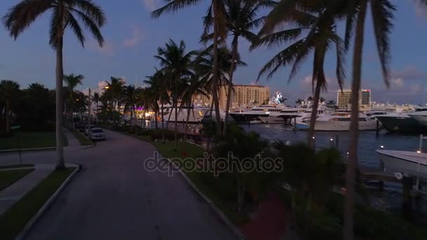 Miami Beach kúriák — Stock videók