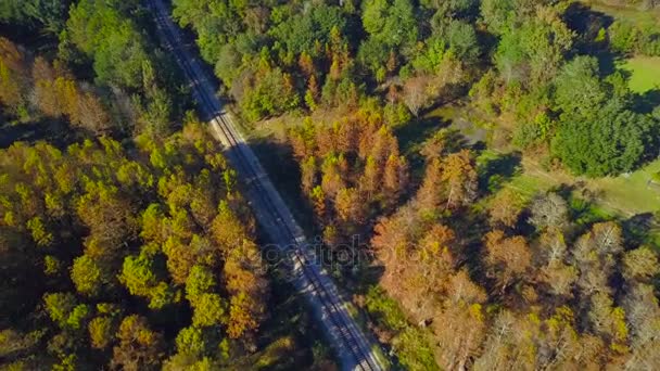 Landskap med järnvägen i skogen — Stockvideo