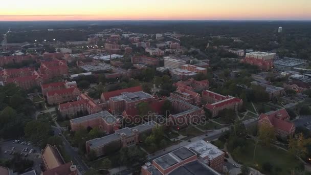 Florida Staatliche Universität Fsu — Stockvideo