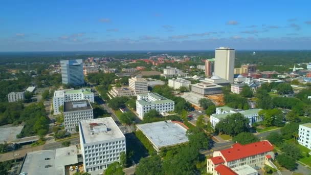 Innenstadt von Tampa in den USA — Stockvideo