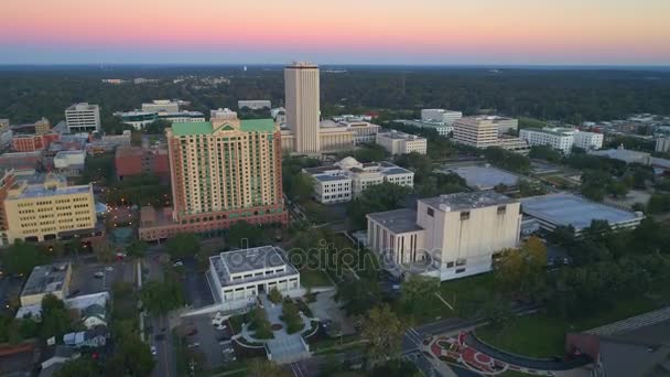 Tallahassee State Capitol Building — Vídeo de Stock