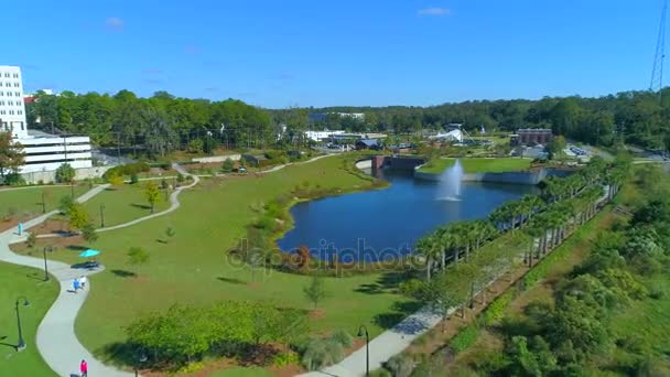 Vídeo aéreo Cascades Park — Vídeo de stock