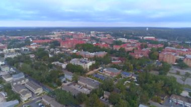 Florida Eyalet Üniversitesi Fsu 4k görüntüleri.