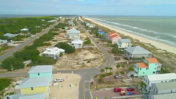 Stranden Antenn Footage George Island Florida — Stockvideo