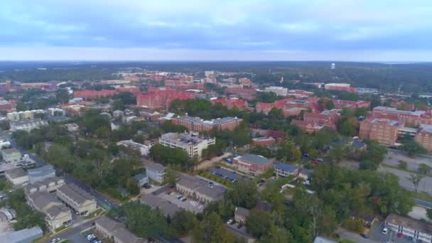 Filmato Della Florida State University Fsu — Video Stock