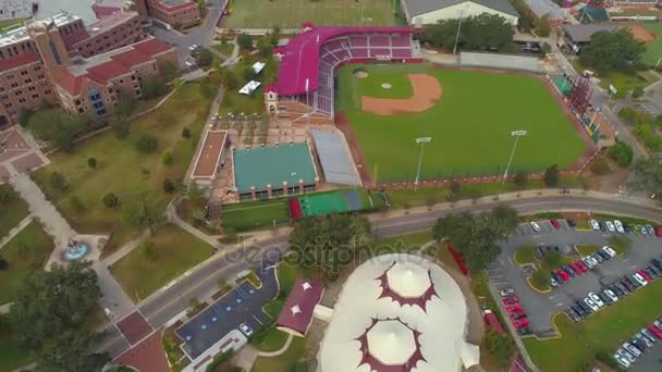 Florida Eyalet Üniversitesi Fsu Görüntüleri — Stok video