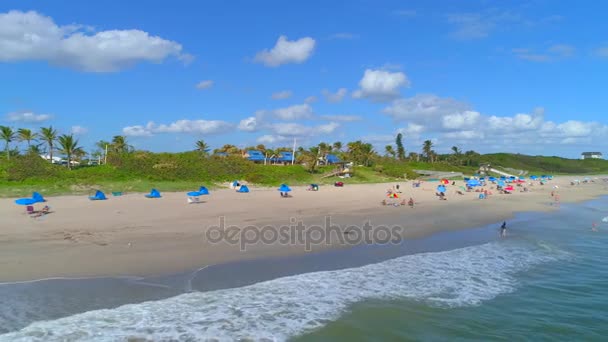 Εναέρια Miami Beach Fl — Αρχείο Βίντεο