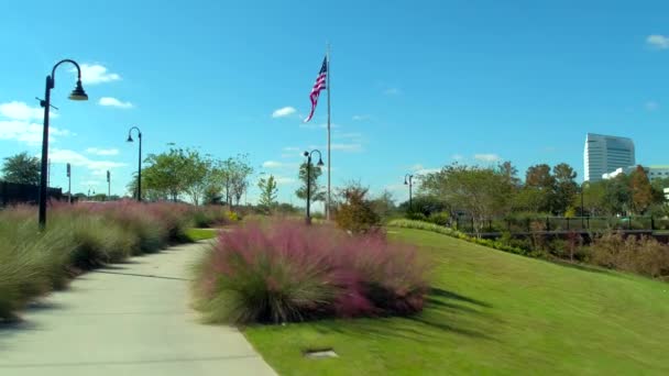 Vídeo aéreo Cascades Park — Vídeo de stock