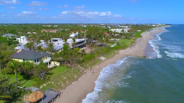 Luxe Strand Florida Mansions — Stockvideo