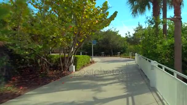 Piéton pov Tampa Riverwalk 4k 