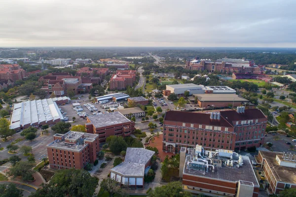 Florida Eyalet Üniversitesi Fsu — Stok fotoğraf