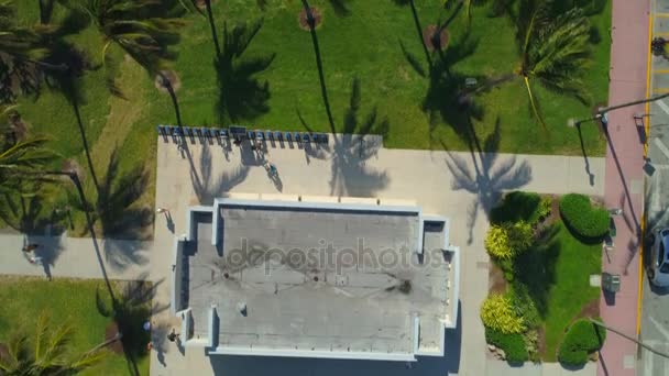 Antenne Über Kopf Erschossen Palmen Miami Strand Südlich Lummus Park — Stockvideo