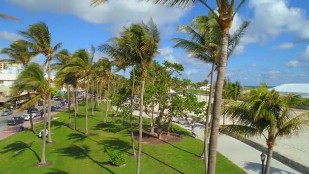 Aerial Reveal Lummus Park South Beach Miami 24P — Stock Video