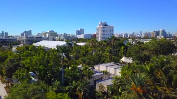 空中ビデオ マイアミ ビーチ植物園 — ストック動画