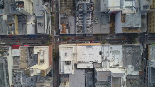 Luchtfoto Video Betonnen Jungle Miami — Stockvideo