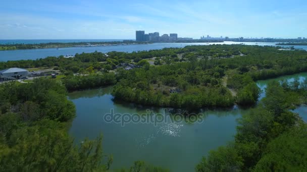 Haulover Oleta Park Miami Biscayne Körfezi — Stok video